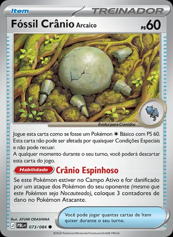 Fóssil Crânio Arcaico (73/84)