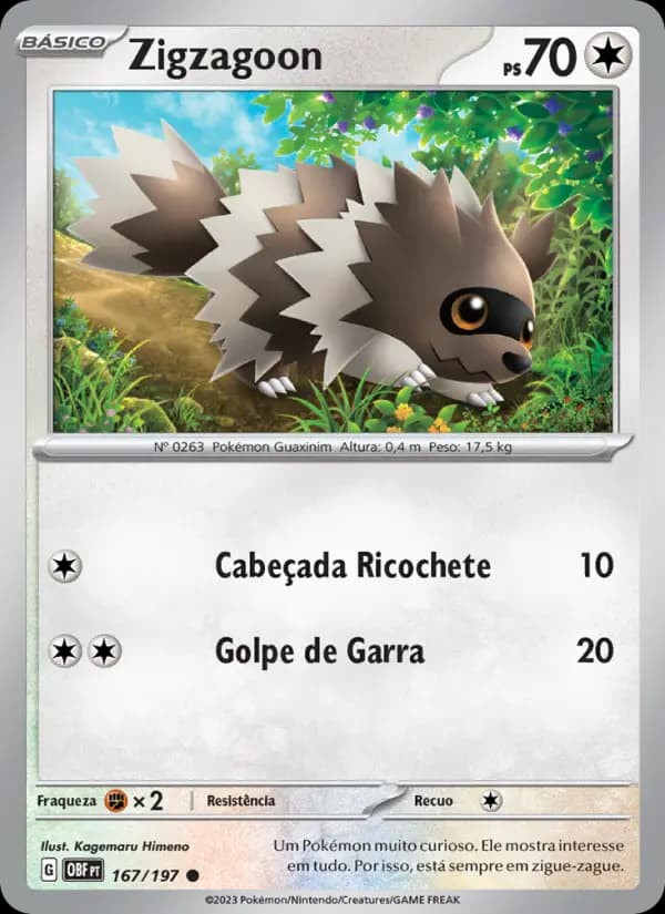 Zigzagoon (167/197)