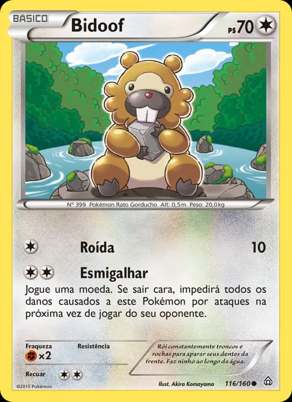 Bidoof (116/160)