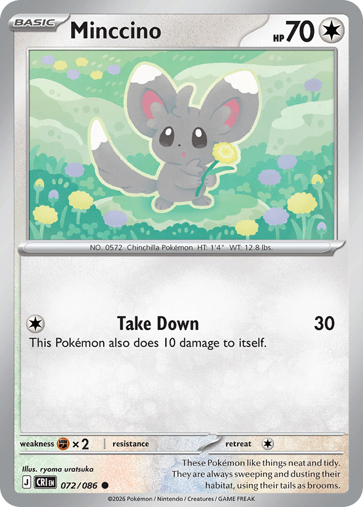 Minccino (72/86)